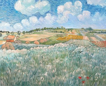 Plain near Auvers Van Gogh reproduction