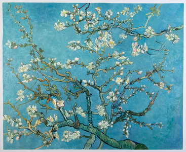 blossom van gogh