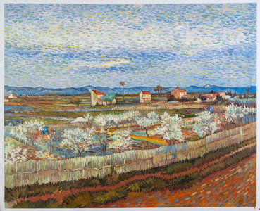 La Crau with Peach Trees in Blossom Van Gogh Reproduction
